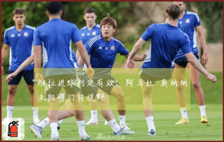 维拉进球判定有效：阿马杜-奥纳纳未阻碍门将视野